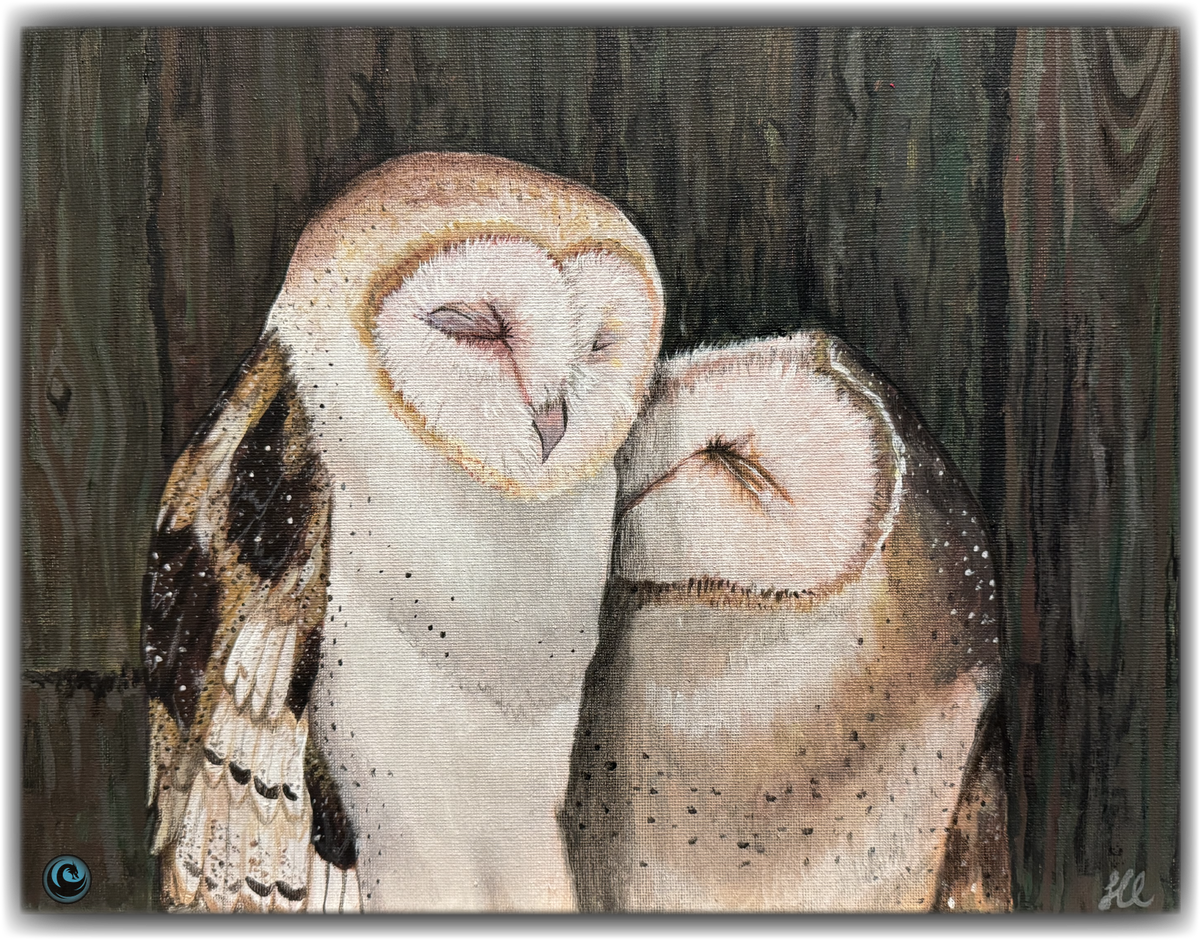 Owl T Shirt - A Night In - Unisex Crew Style - WaterDragon Apparel