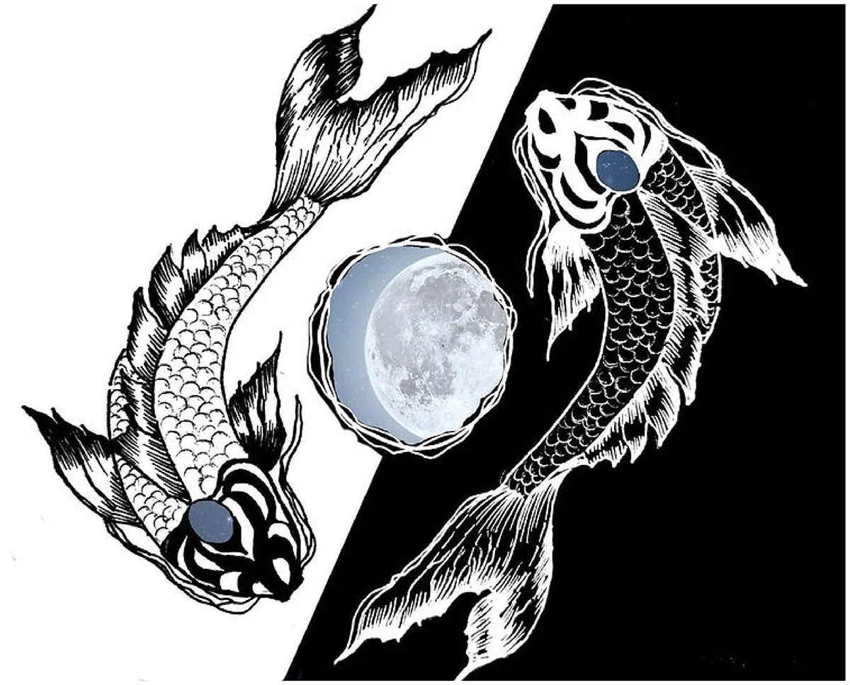 Hand Painted Koi Fish Shirts - Ying and Yang - WaterDragon Apparel