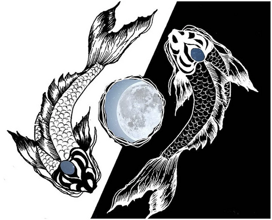 Hand Painted Koi Fish Shirts - Ying and Yang - WaterDragon Apparel